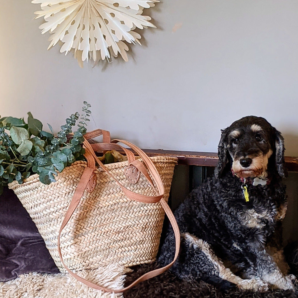 Moroccan Market shops Basket / Brown Leather Handle / Orange & Multi Color Pom Pom Accessory