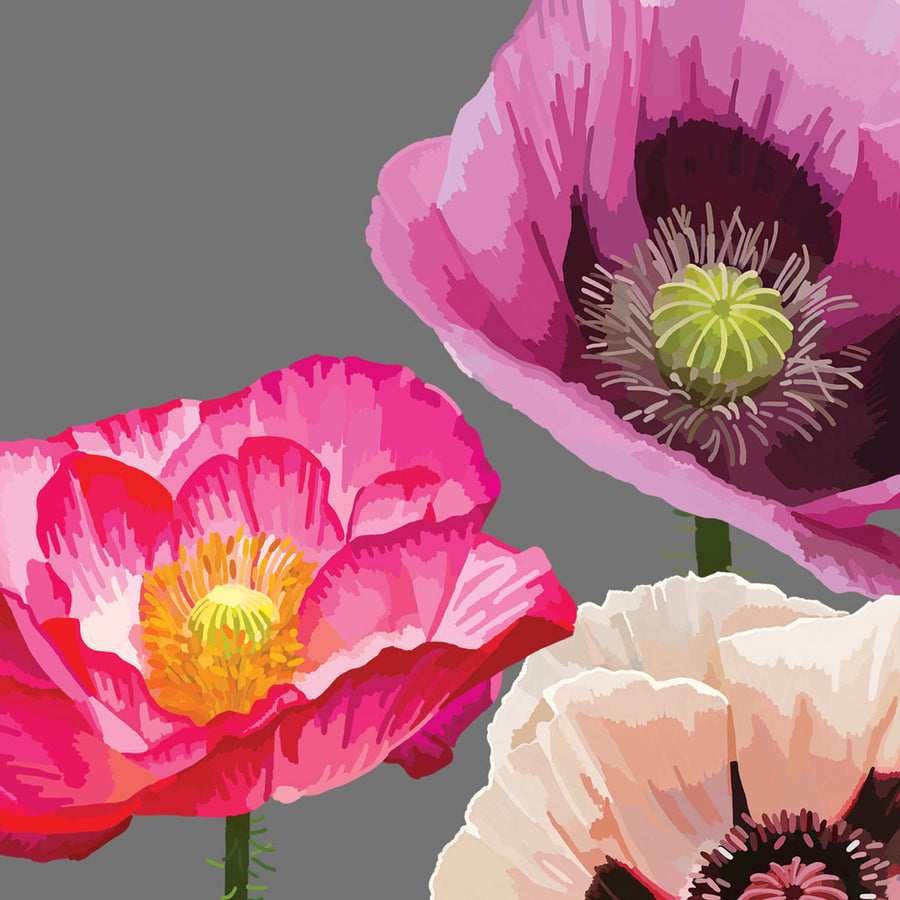 Fabulous Poppies | Quality Paper Napkins