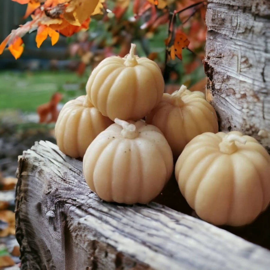 Pumpkin Beeswax Candle - Thedanes.co.uk - Creative & Sustainable Living The Scandinavian Way