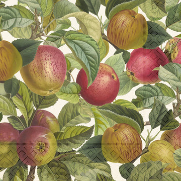 Delightful Apples | Paper Napkins 33cm - Thedanes.co.uk - Creative & Sustainable Living The Scandinavian Way