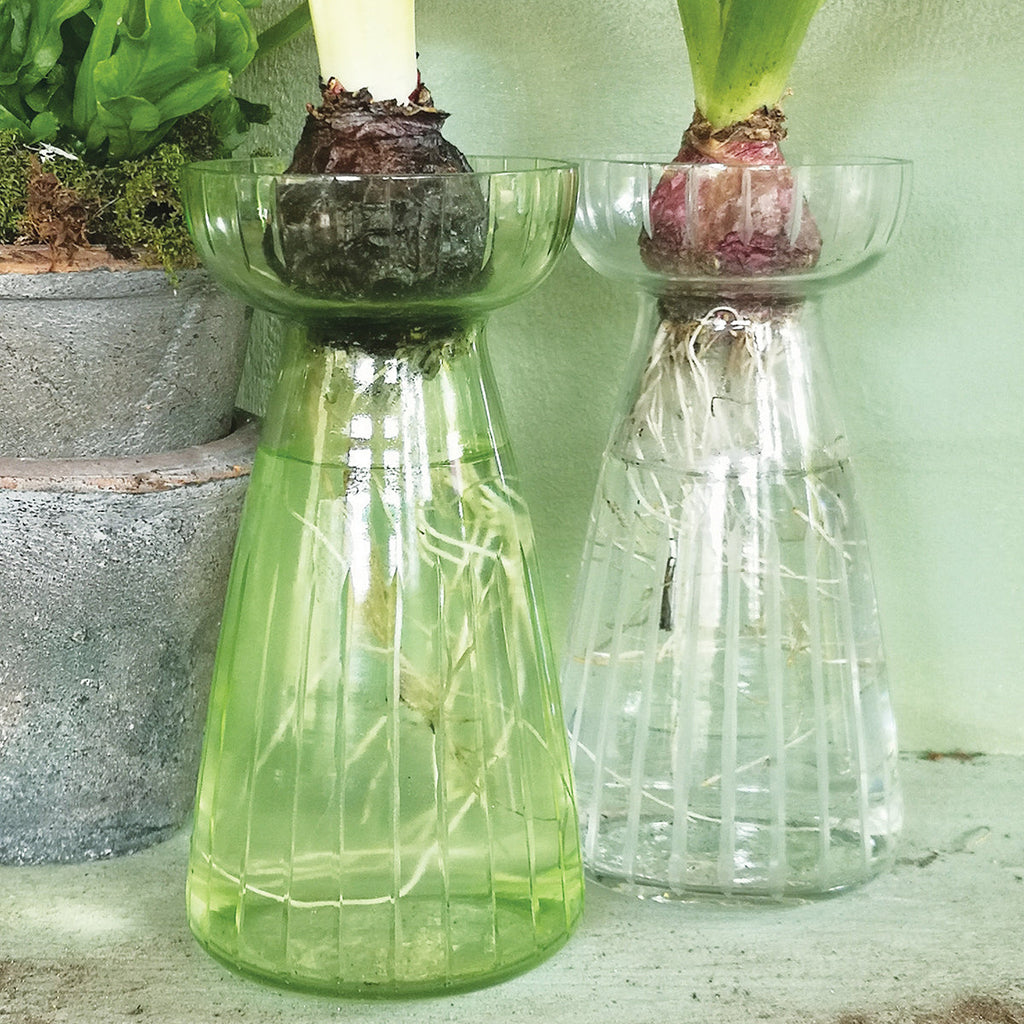 White Hyacinth in Ribbed Hyacinth Glass Vase With Decorative Scandi Christmas Cone - Thedanes.co.uk - Creative & Sustainable Living The Scandinavian Way