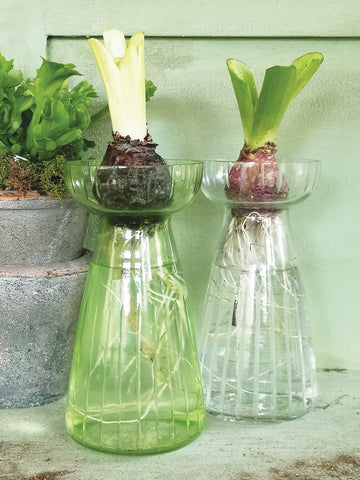 Hyacinth Ribbed Glass Vase | 2 Colours - Thedanes.co.uk - Creative & Sustainable Living The Scandinavian Way