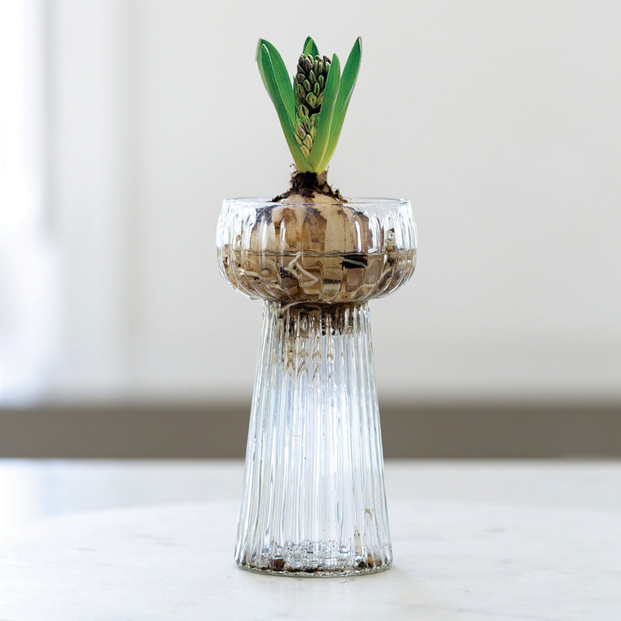 Hyacinth Ribbed Glass Vase | 2 Colours - Thedanes.co.uk - Creative & Sustainable Living The Scandinavian Way