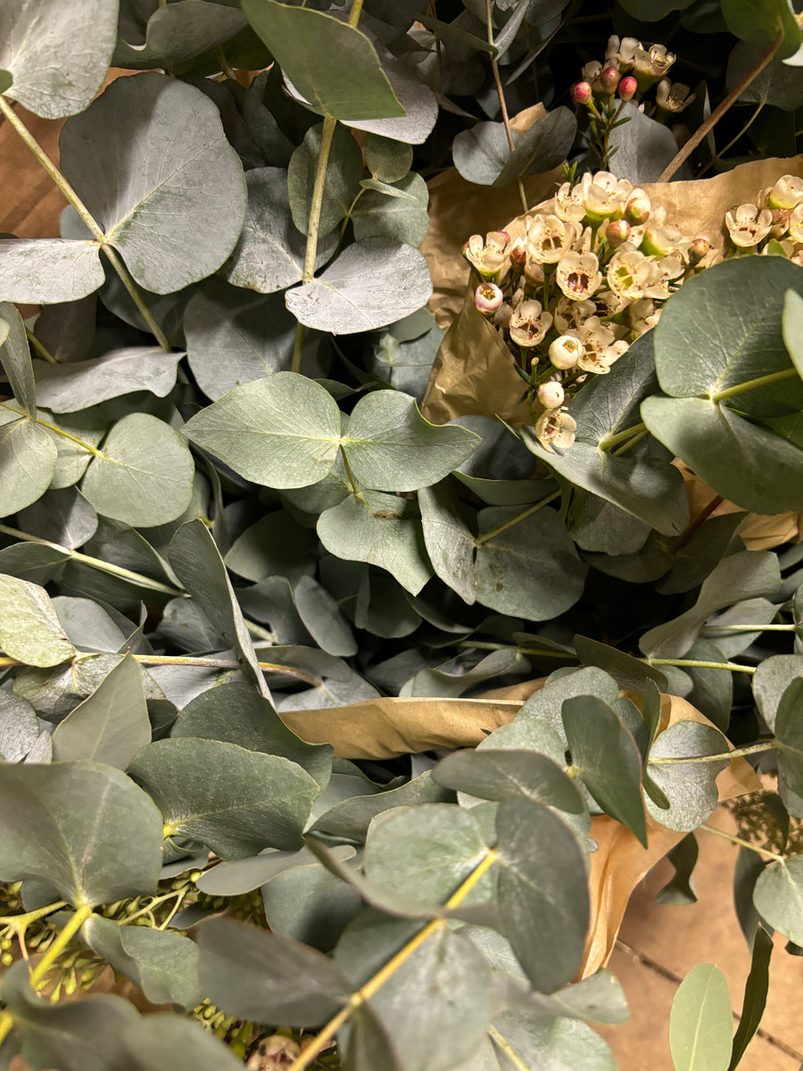 Fresh Eucalyptus Mix | Cinerea & Populus Berries Stems - Thedanes.co.uk - Creative & Sustainable Living The Scandinavian Way