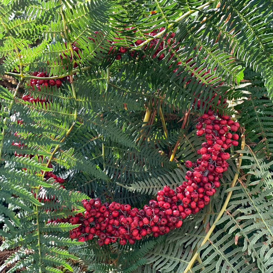 Red Wooden Bead Berry Wreath - 23cm