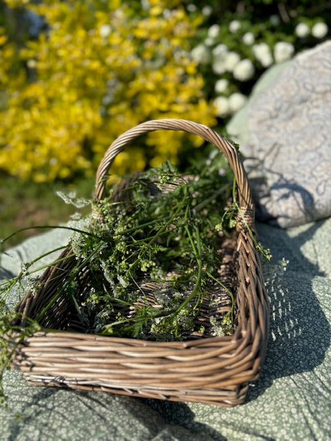 Kew Willow Garden Trug Basket