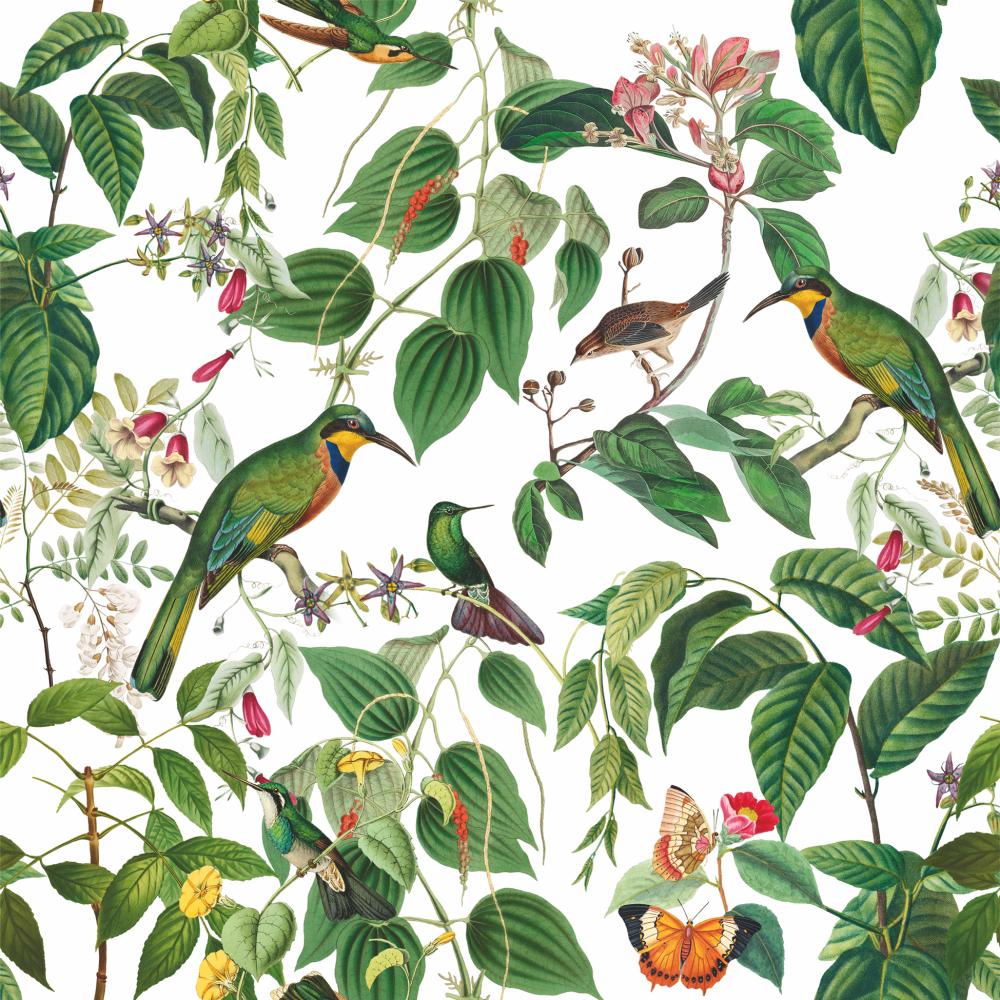 Mauritius Exotic Birds, Floral and Fauna Paper NapkinsNapkins by The Danes