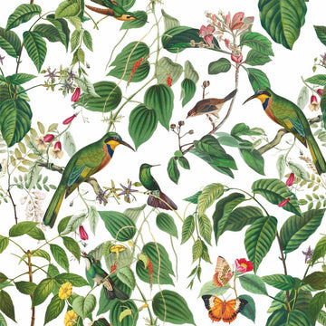 Mauritius Exotic Birds, Floral and Fauna Paper Napkins