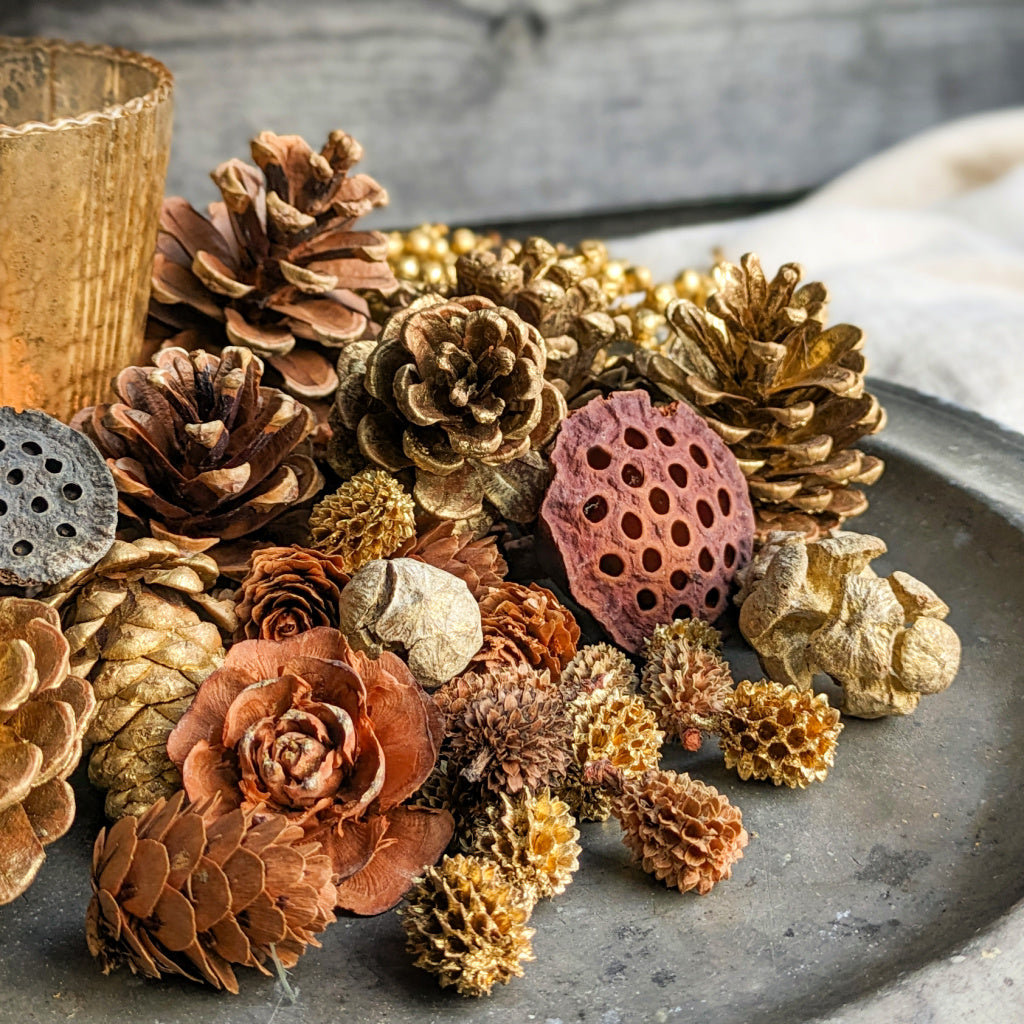 TRADE | Natural & Gold Mixed Pine Cones - Christmas Sparkle - Thedanes.co.uk - Creative & Sustainable Living The Scandinavian Way