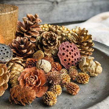 Selection of gold sparkle pine cones - natural collection by The Danes 