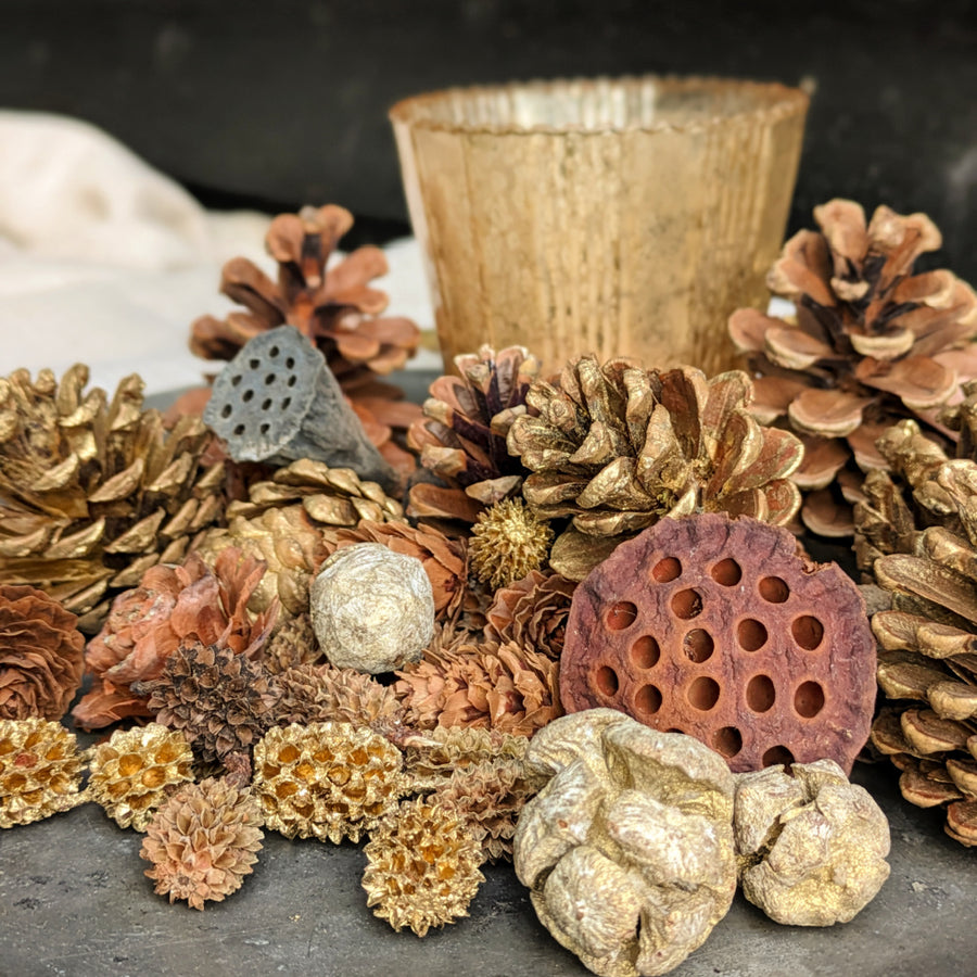 Natural & Gold Mixed Pine Cones - Christmas Sparkle