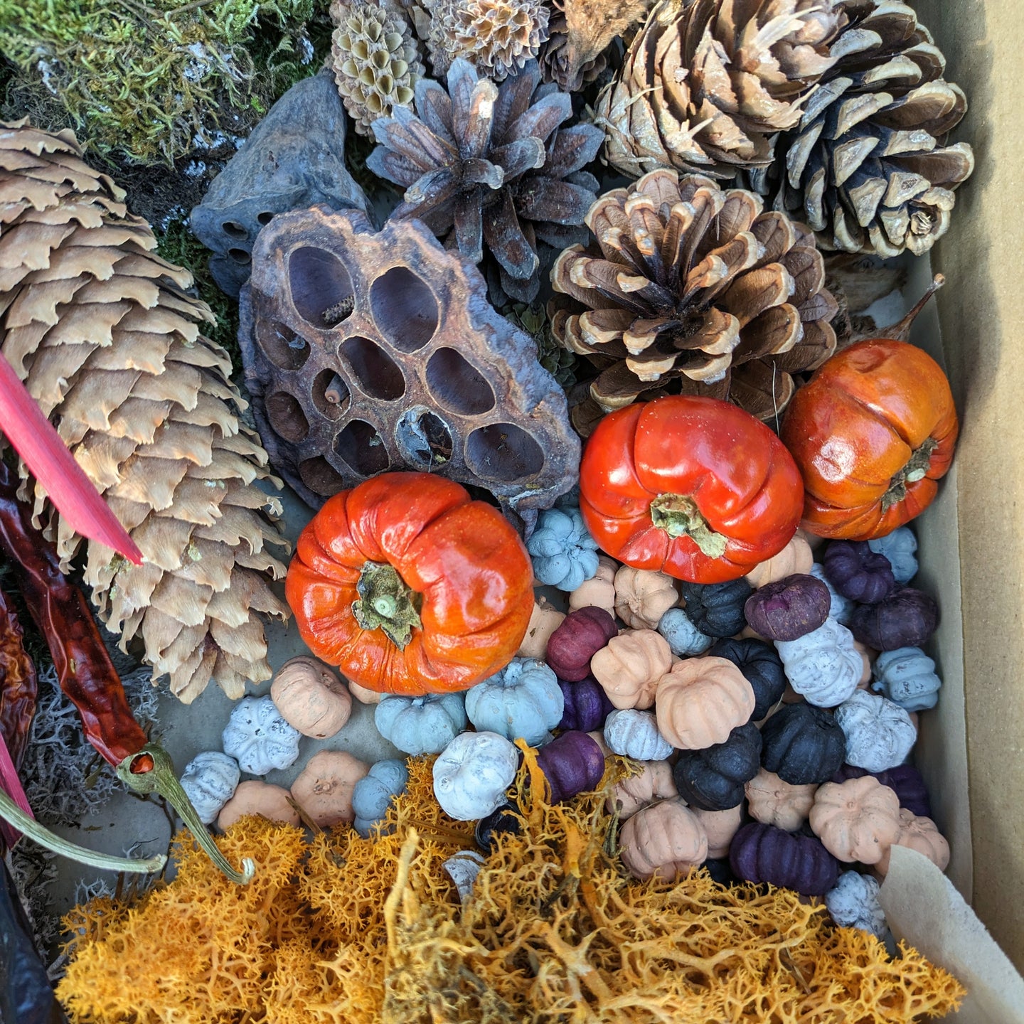 Natural Floristry Display Box - AUTUMN - Thedanes.co.uk - Creative & Sustainable Living The Scandinavian Way