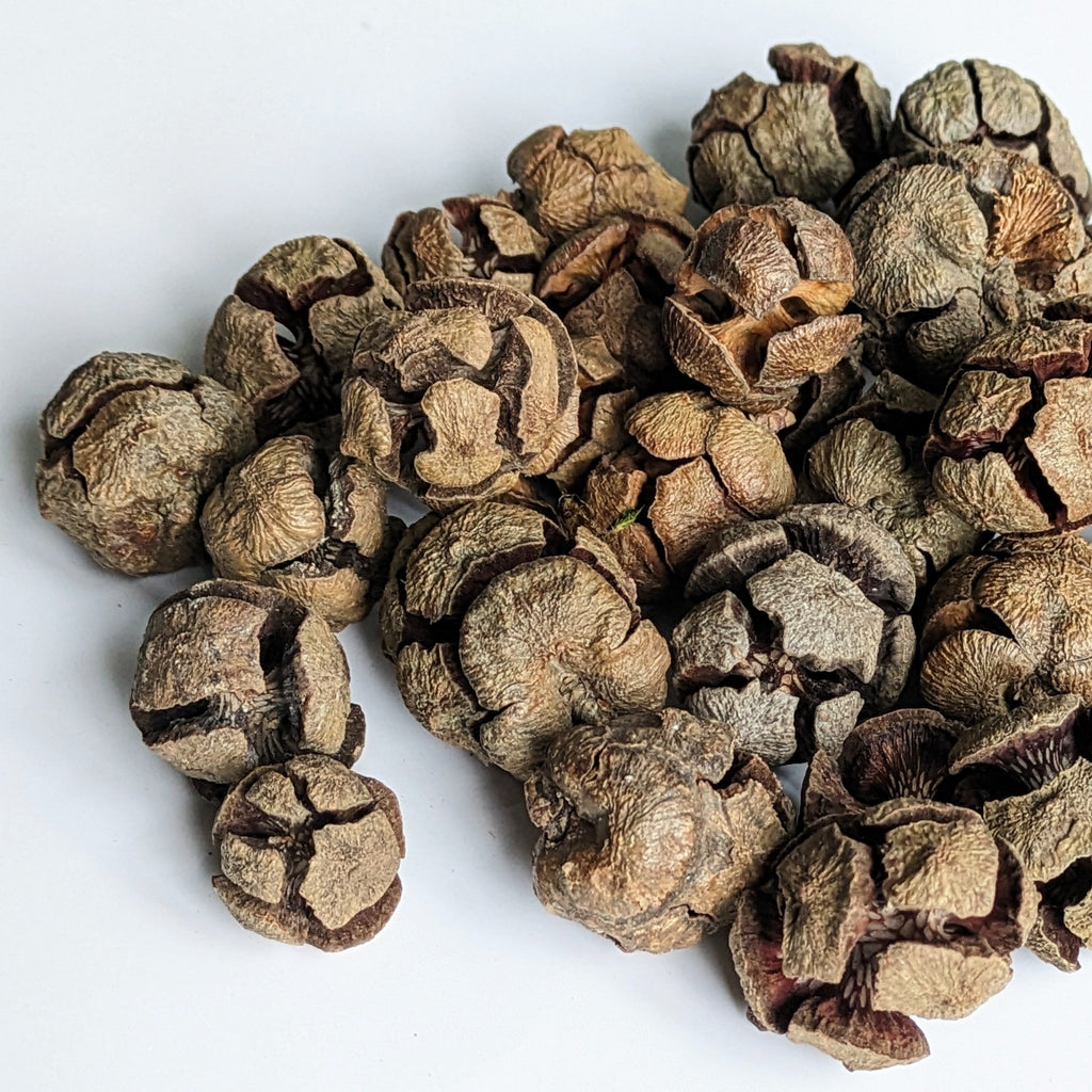 Natural Cypress Cones | 100g - Thedanes.co.uk - Creative & Sustainable Living The Scandinavian Way