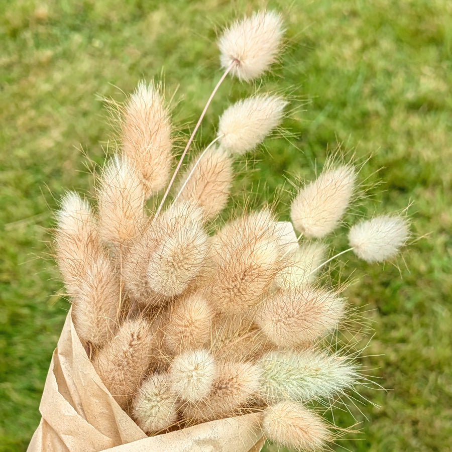 Pink Dried Flower Bouquets - Assorted Bunches | Mix & Match - Thedanes.co.uk - Creative & Sustainable Living The Scandinavian Way