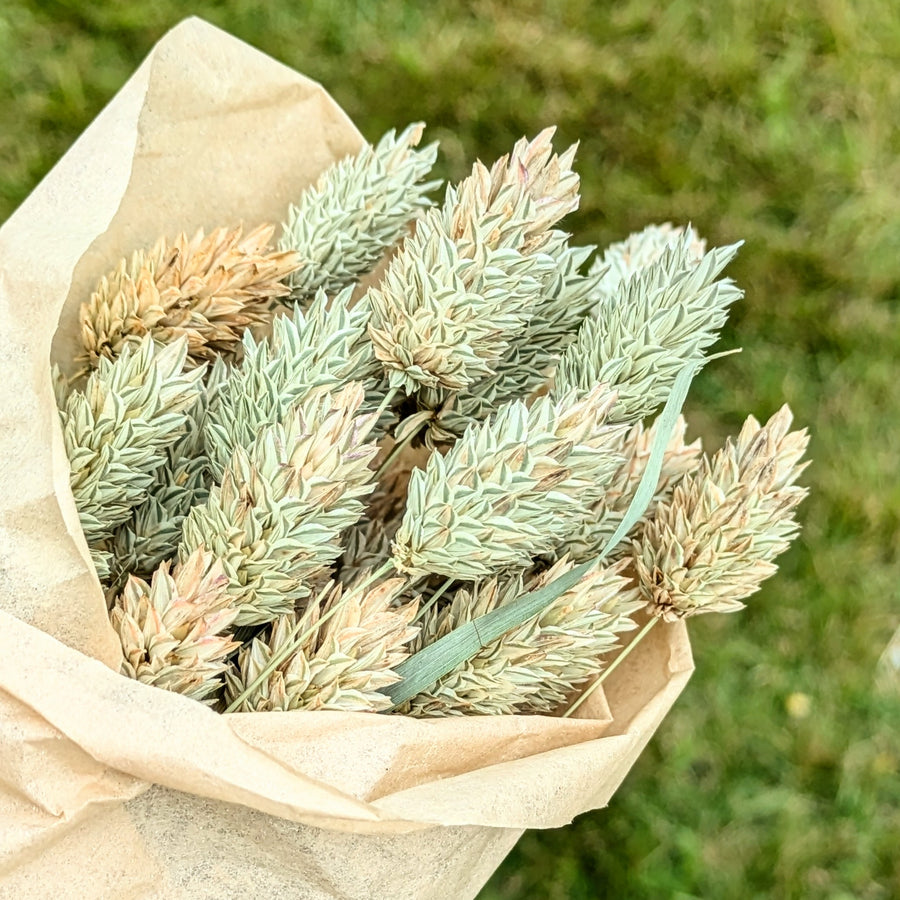 Pink Dried Flower Bouquets - Assorted Bunches | Mix & Match - Thedanes.co.uk - Creative & Sustainable Living The Scandinavian Way