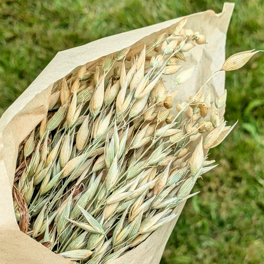 Pink Dried Flower Bouquets - Assorted Bunches | Mix & Match - Thedanes.co.uk - Creative & Sustainable Living The Scandinavian Way