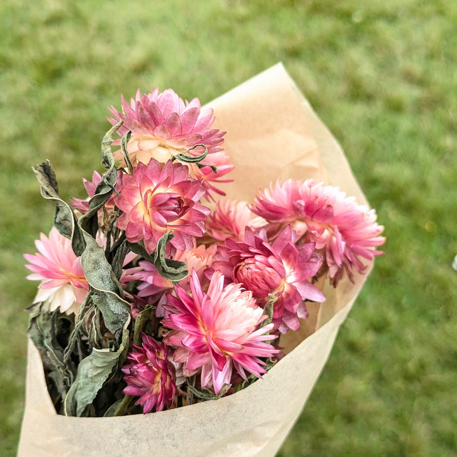 Pink Dried Flower Bouquets - Assorted Bunches | Mix & Match - Thedanes.co.uk - Creative & Sustainable Living The Scandinavian Way