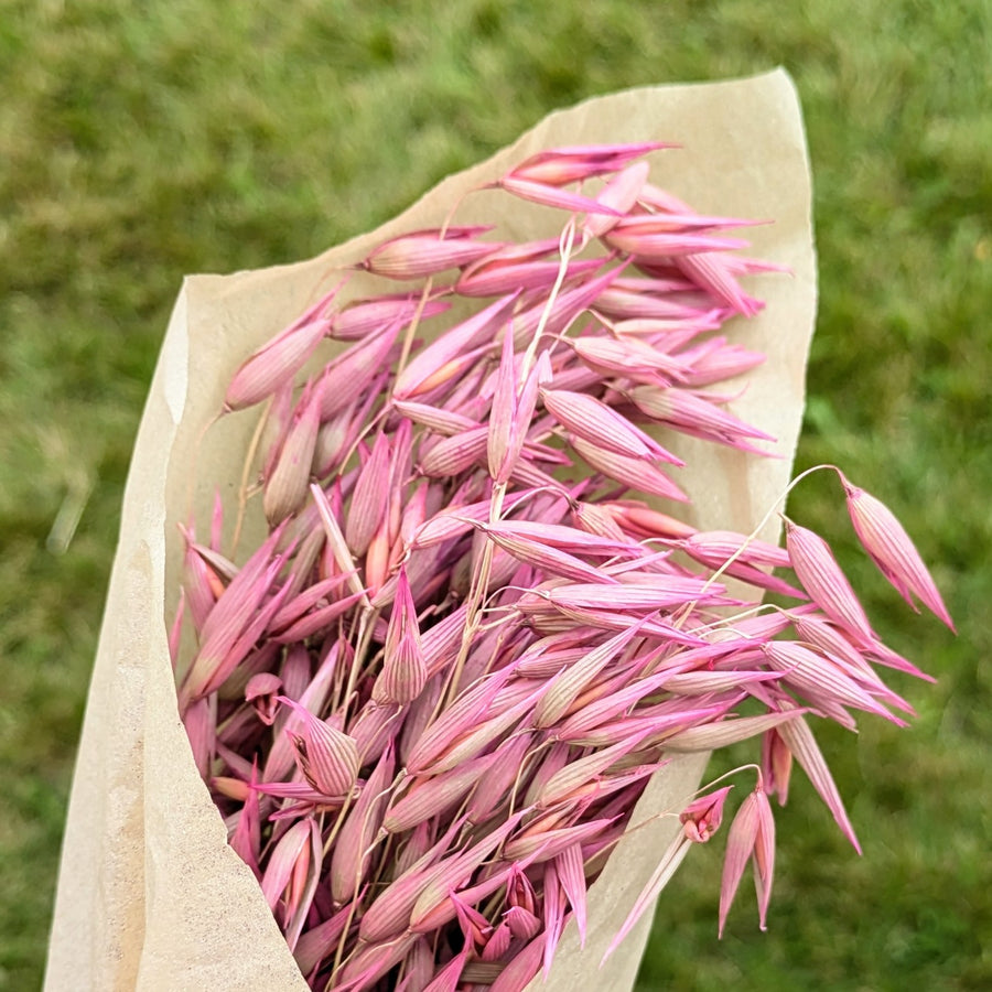 Pink Dried Flower Bouquets - Assorted Bunches | Mix & Match - Thedanes.co.uk - Creative & Sustainable Living The Scandinavian Way