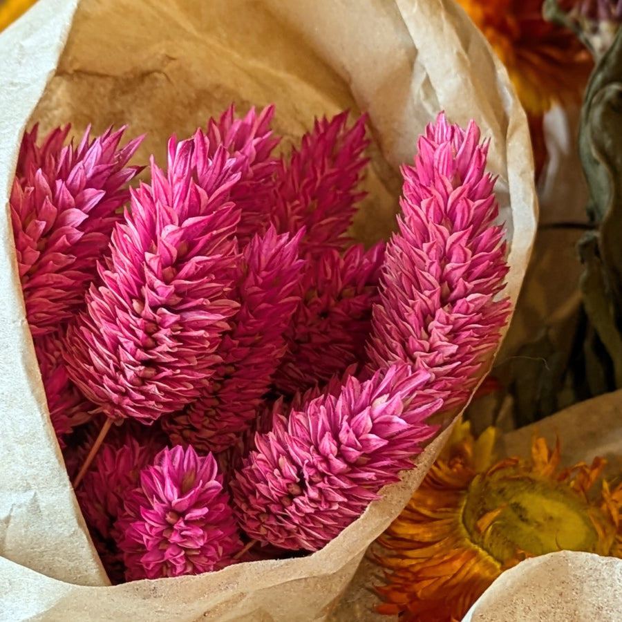 Pink Dried Flower Bouquets - Assorted Bunches | Mix & Match - Thedanes.co.uk - Creative & Sustainable Living The Scandinavian Way