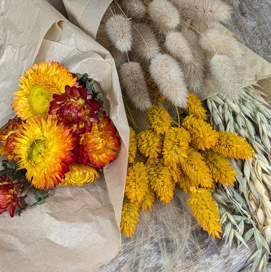 Golden Yellow Dried Flower Bouquets - Assorted Bunches | Mix & Match - Thedanes.co.uk - Creative & Sustainable Living The Scandinavian Way