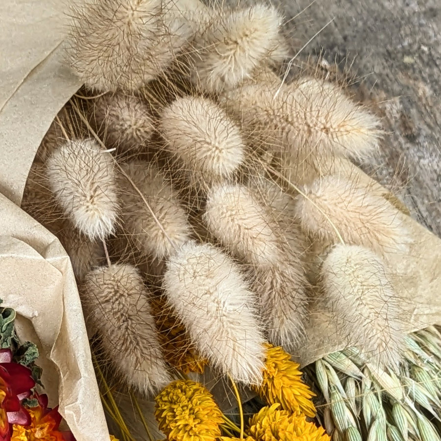 Pink Dried Flower Bouquets - Assorted Bunches | Mix & Match - Thedanes.co.uk - Creative & Sustainable Living The Scandinavian Way