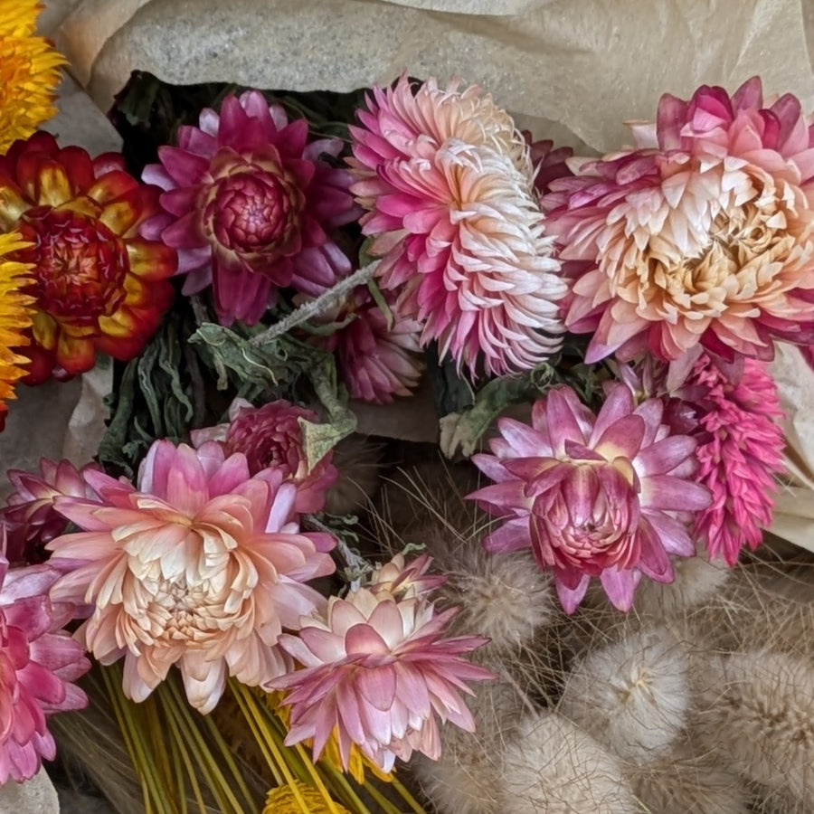 Pink Dried Flower Bouquets - Assorted Bunches | Mix & Match - Thedanes.co.uk - Creative & Sustainable Living The Scandinavian Way