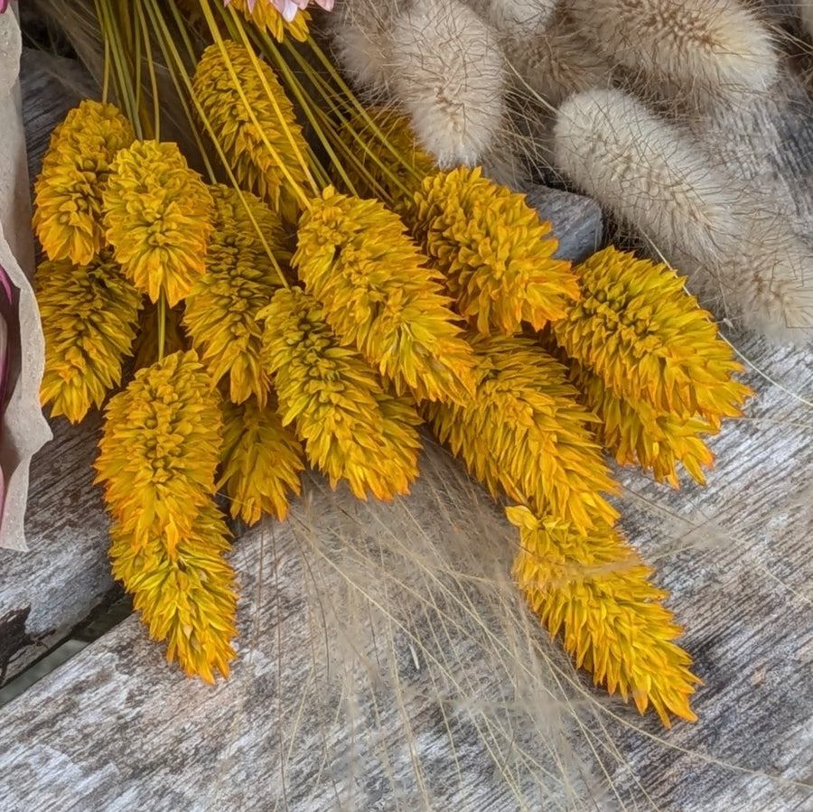 Golden Yellow Dried Flower Bouquets - Assorted Bunches | Mix & Match - Thedanes.co.uk - Creative & Sustainable Living The Scandinavian Way