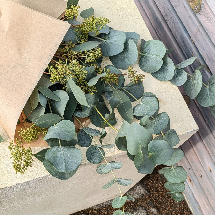 Fresh Eucalyptus Mix | Cinerea & Populus Berries Stems - Thedanes.co.uk - Creative & Sustainable Living The Scandinavian Way