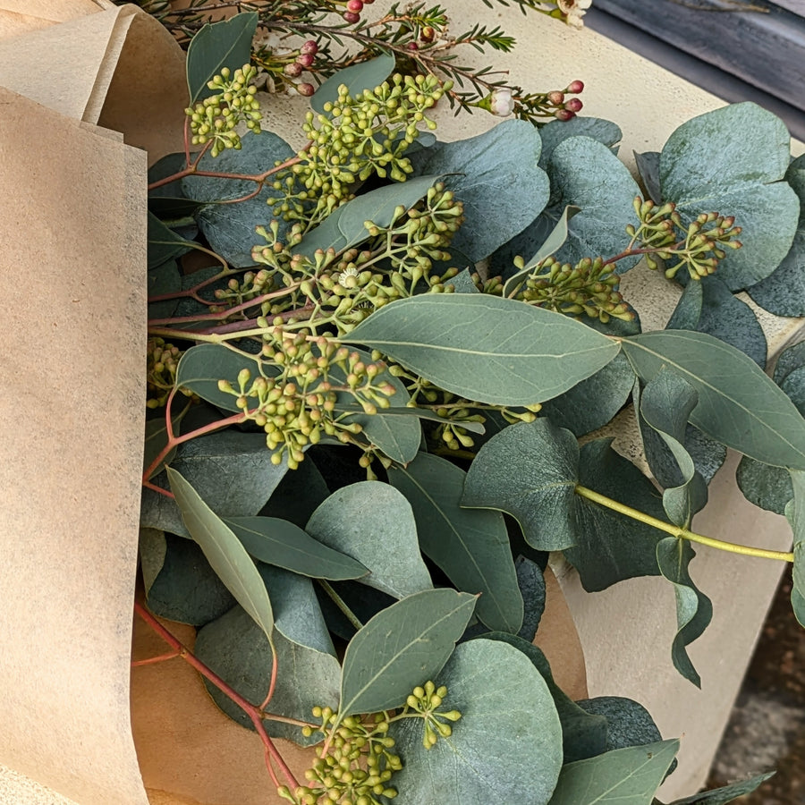 Fresh Eucalyptus Mix | Cinerea & Populus Berries Stems - Thedanes.co.uk - Creative & Sustainable Living The Scandinavian Way