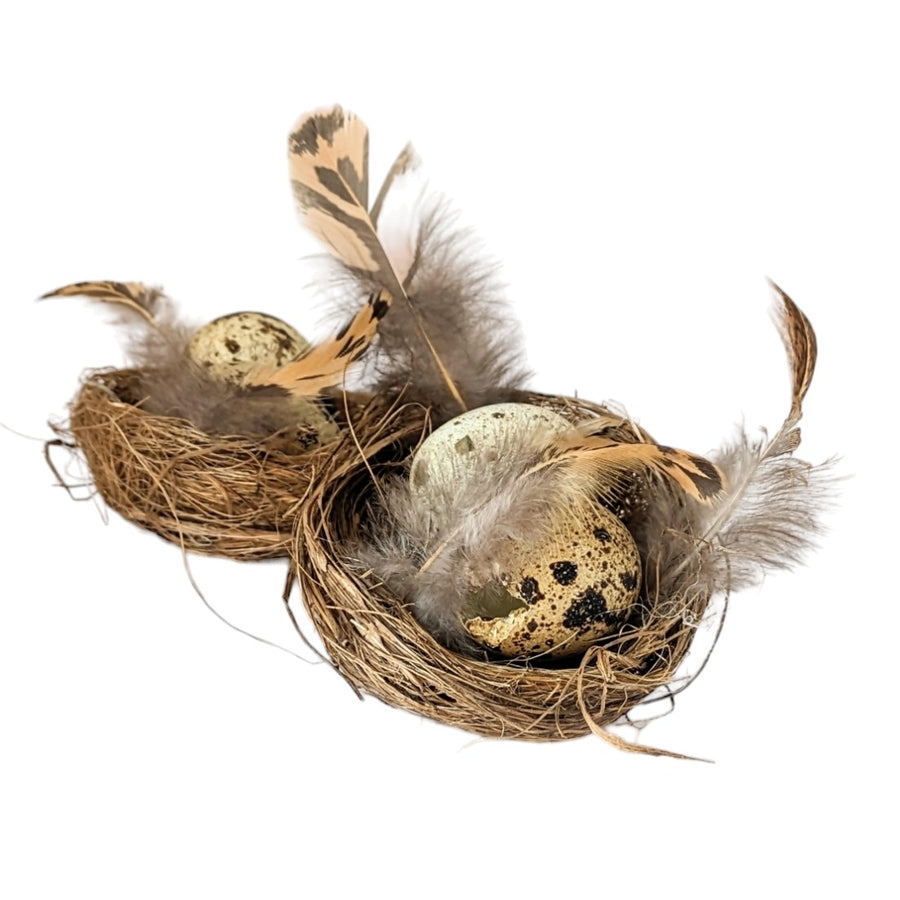 Natural Birds Nest With Quails Egg & Feathers x Set of 2