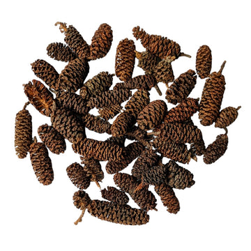 Alder Cones - 50g - Thedanes.co.uk - Creative & Sustainable Living The Scandinavian Way