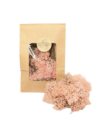 Pink Norwegian Reindeer Floristry Moss - Thedanes.co.uk - Creative & Sustainable Living The Scandinavian Way