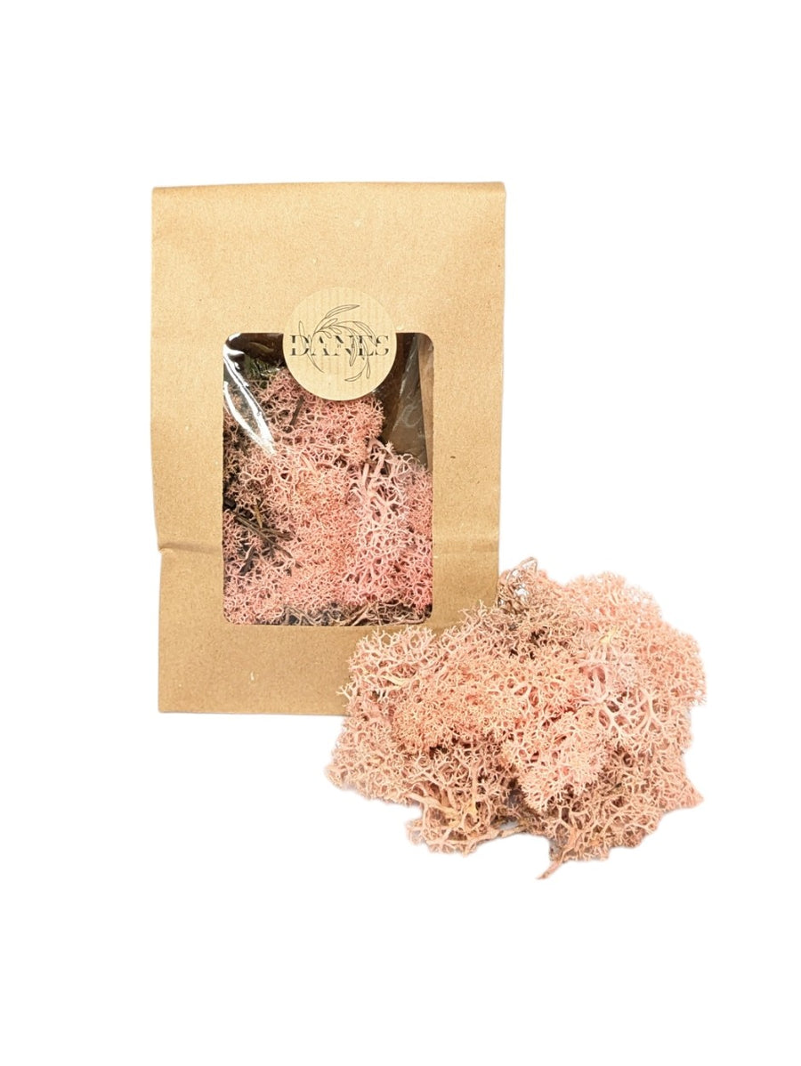 Pink Norwegian Reindeer Floristry Moss - Thedanes.co.uk - Creative & Sustainable Living The Scandinavian Way