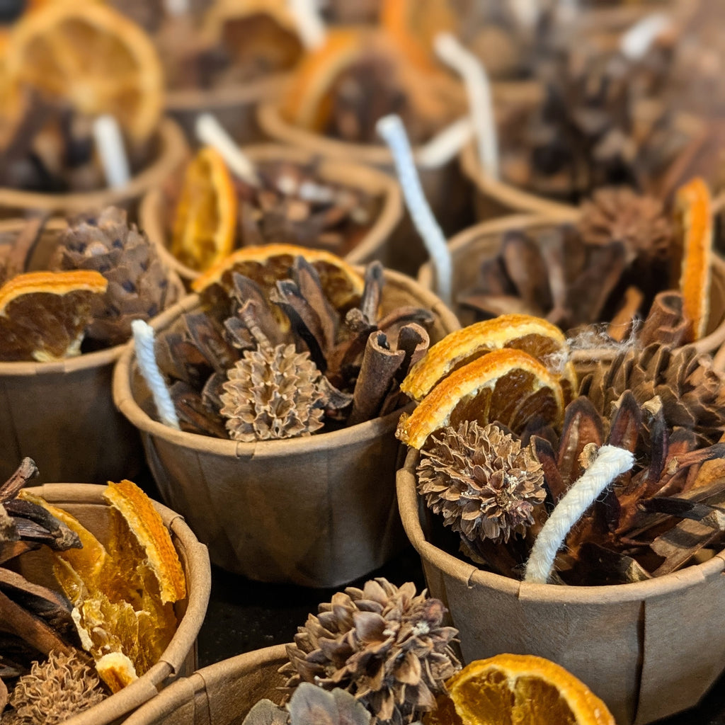Seasonal & Festive Pine Cone Firestarters | Pack of 8