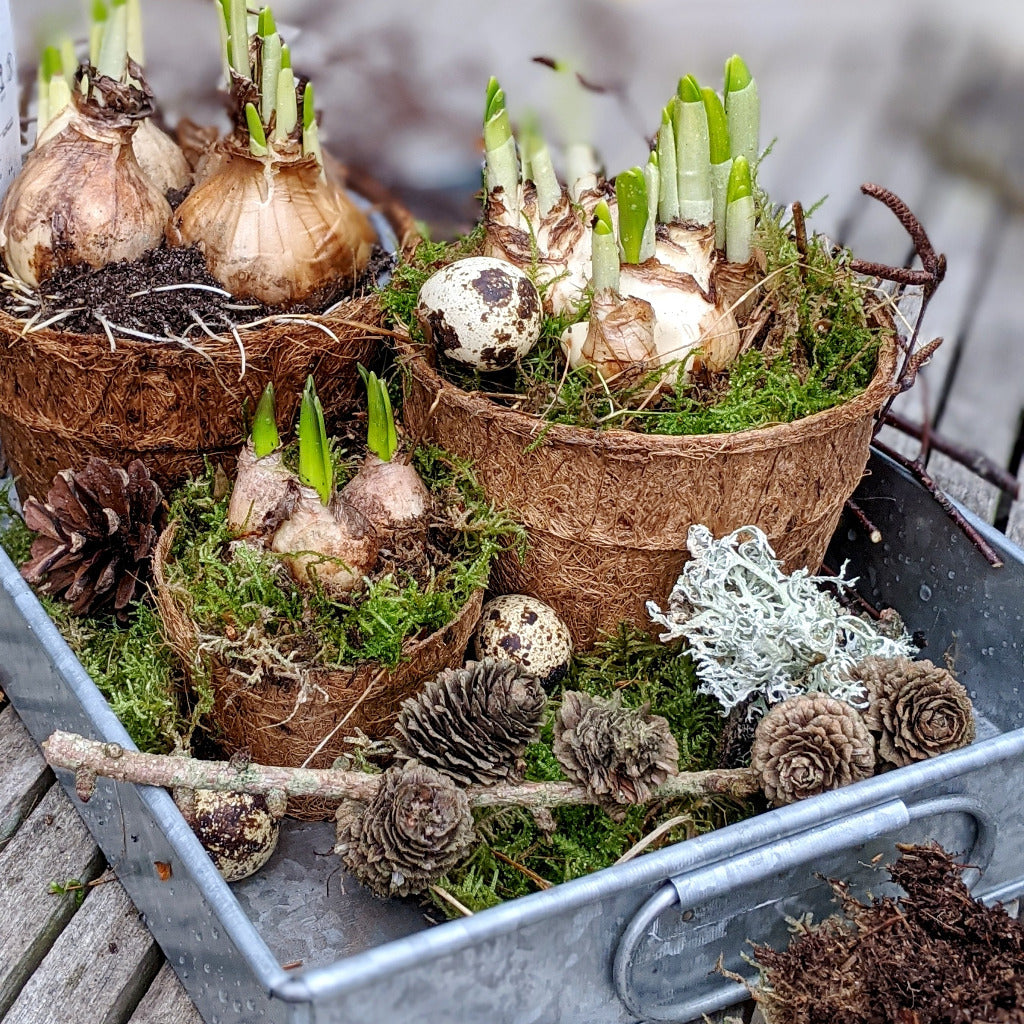 Zinc Metal Tray with Handles | Seconds - Thedanes.co.uk - Creative & Sustainable Living The Scandinavian Way