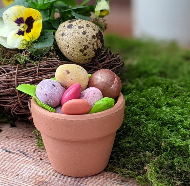3 Mini Terracotta Pots - Thedanes.co.uk - Creative & Sustainable Living The Scandinavian Way