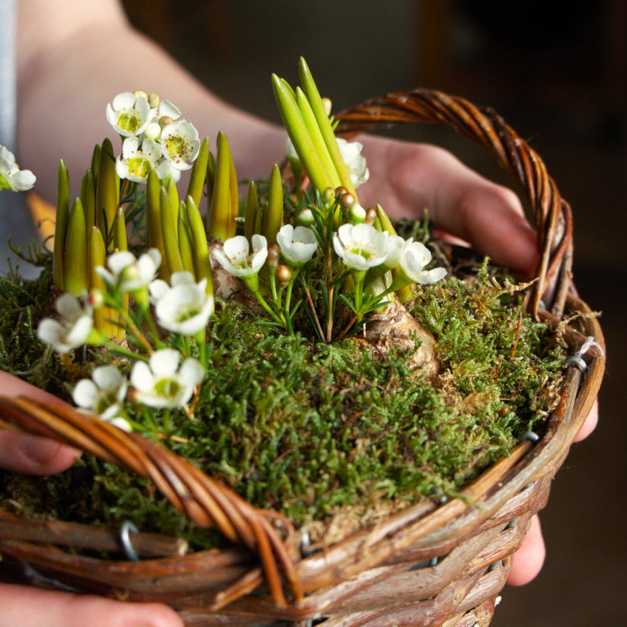basket full of flower held in hands