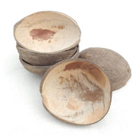 Natural Coconut Shell