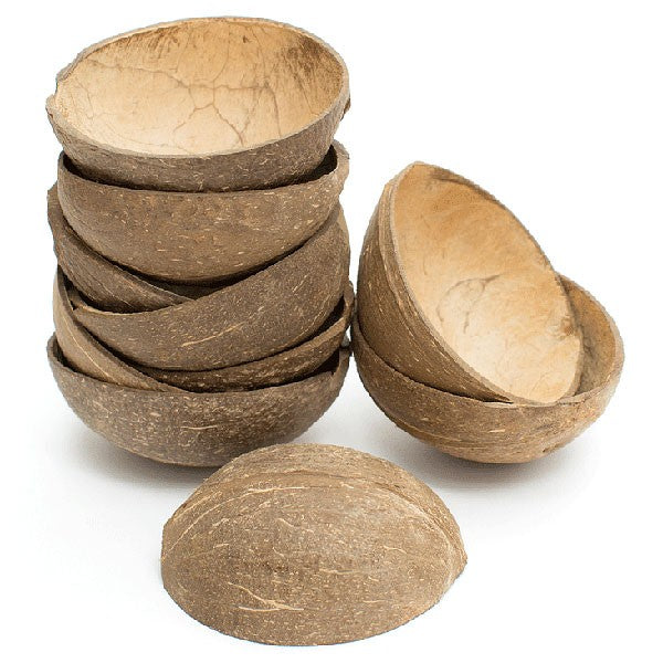 Natural Coconut Shell Bowl - The Danes