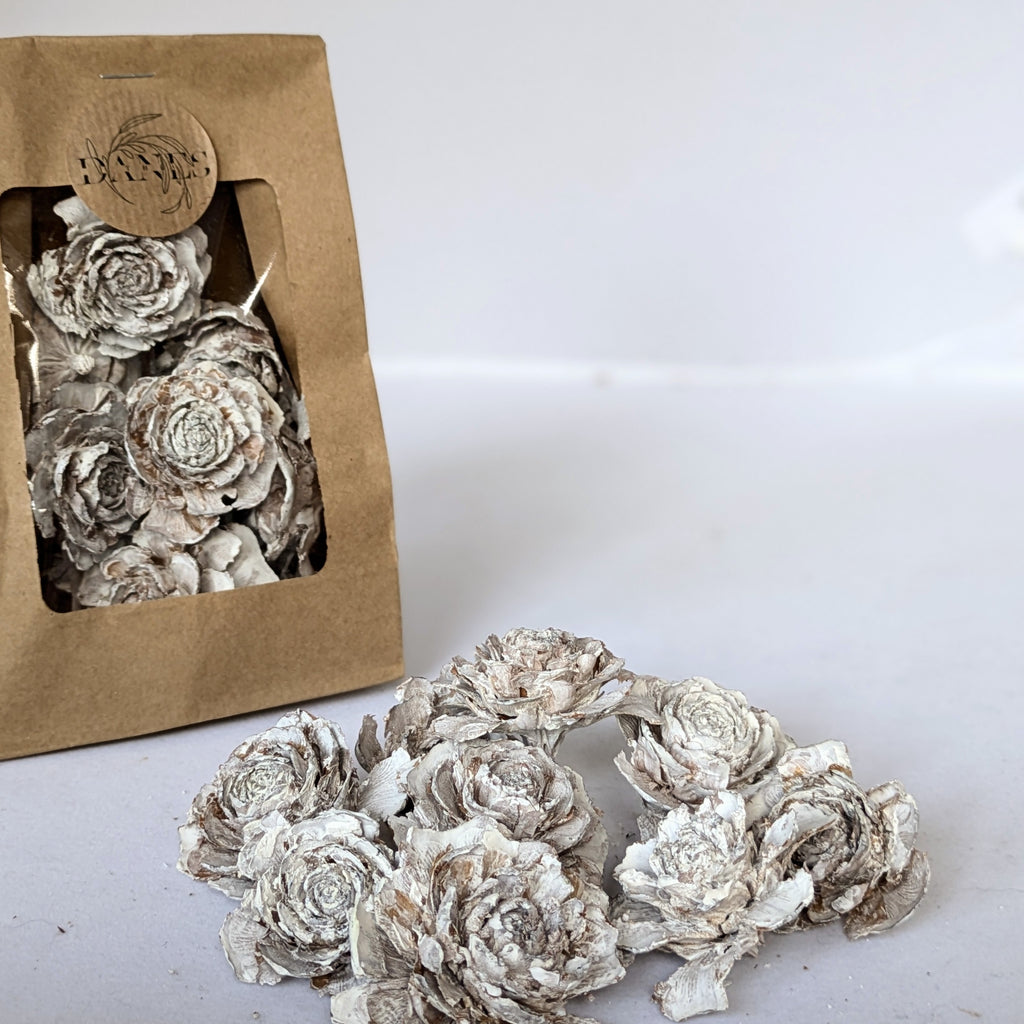 Whitewashed Cedar Rose Pine Cones x 10 - Thedanes.co.uk - Creative & Sustainable Living The Scandinavian Way