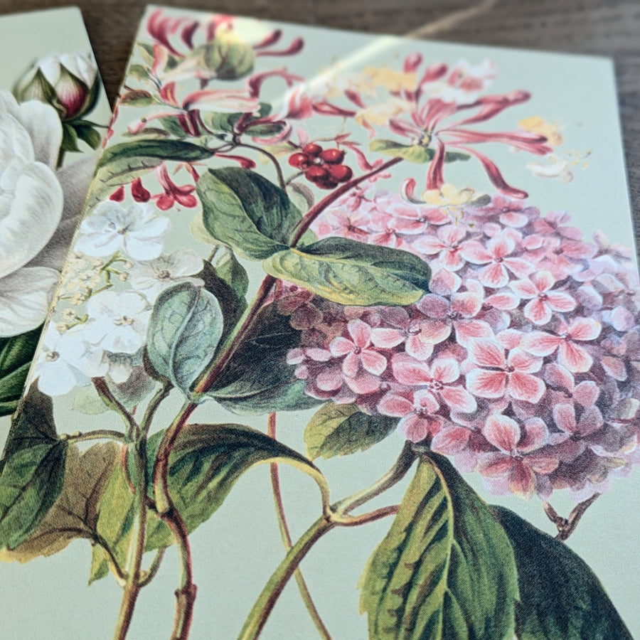 20 Postcard In A Tin | Botanical Flower Garden | Peonies & Roses - Thedanes.co.uk - Creative & Sustainable Living The Scandinavian Way
