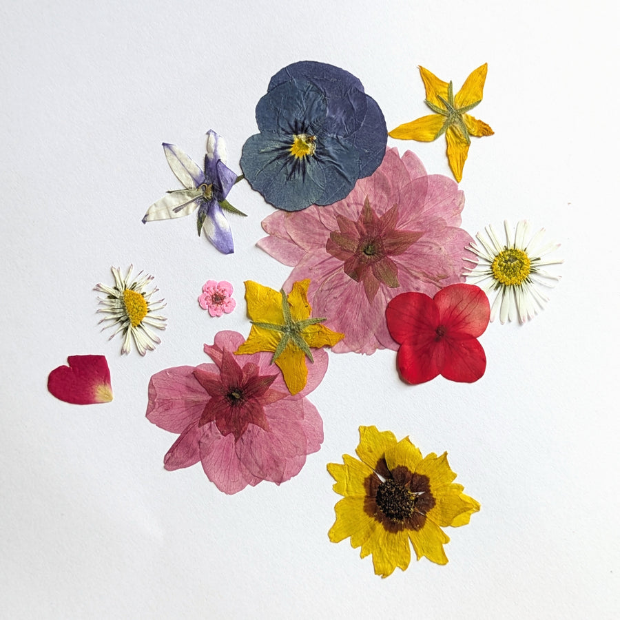 Pressed & Dried Flower Card Making Kit - Thedanes.co.uk - Creative & Sustainable Living The Scandinavian Way