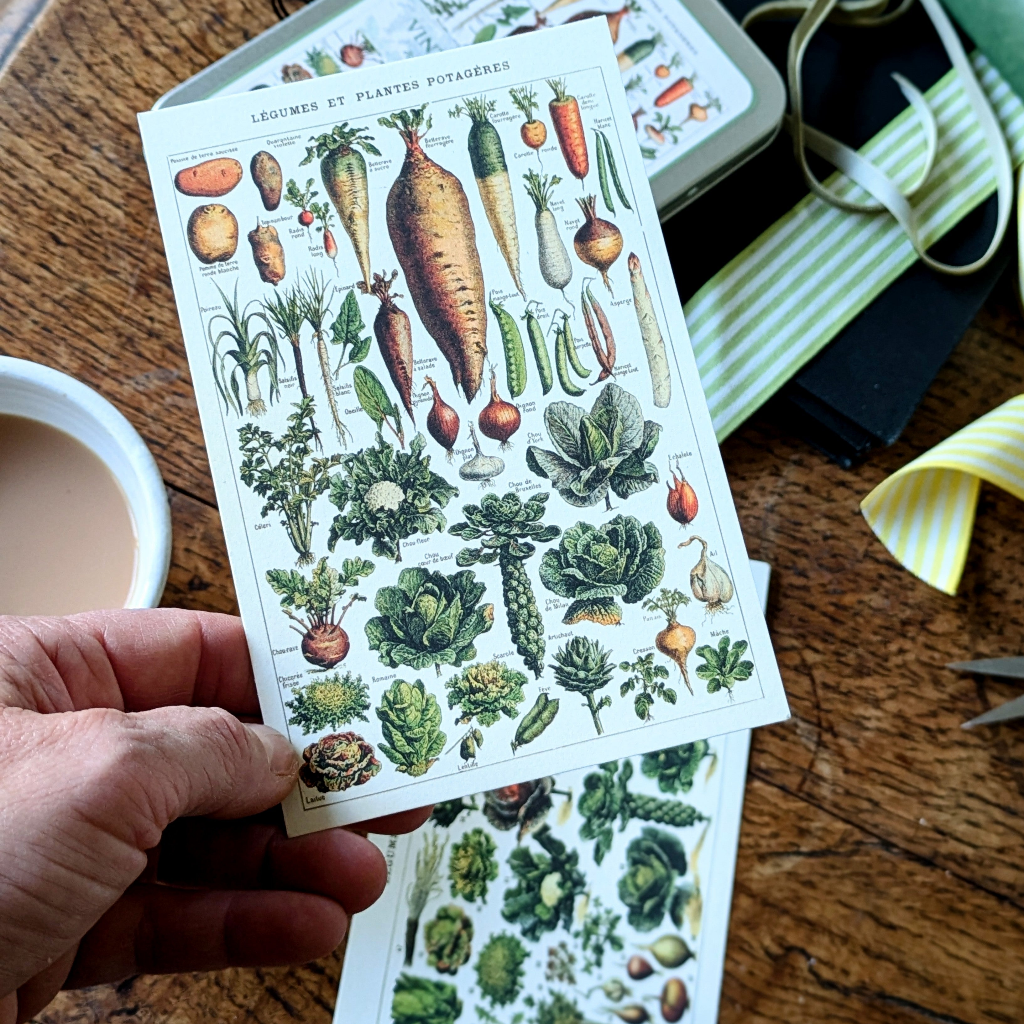 20 Postcard In A Tin | Vintage Vegetables - Thedanes.co.uk - Creative & Sustainable Living The Scandinavian Way