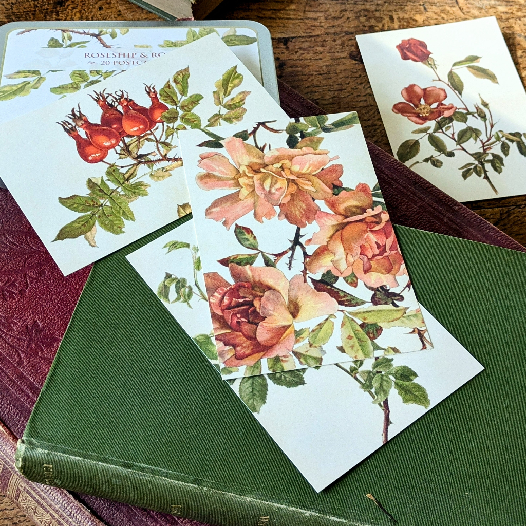 20 Postcard In A Tin | Rosehip & Roses - Thedanes.co.uk - Creative & Sustainable Living The Scandinavian Way