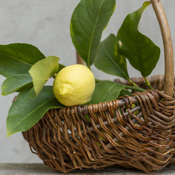 Willow Trug | 30cm - Thedanes.co.uk - Creative & Sustainable Living The Scandinavian Way