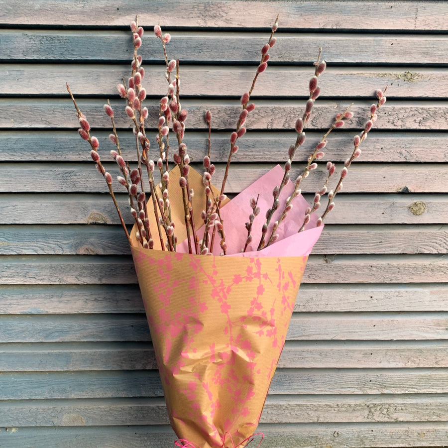 Pink Pussy Willow - Fresh Locally Cut Stems - Thedanes.co.uk - Creative & Sustainable Living The Scandinavian Way