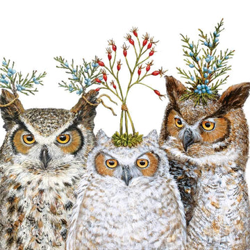 Holiday Hoot Cocktail Paper Napkins By Vicki Sawyer | 25 x 25cm