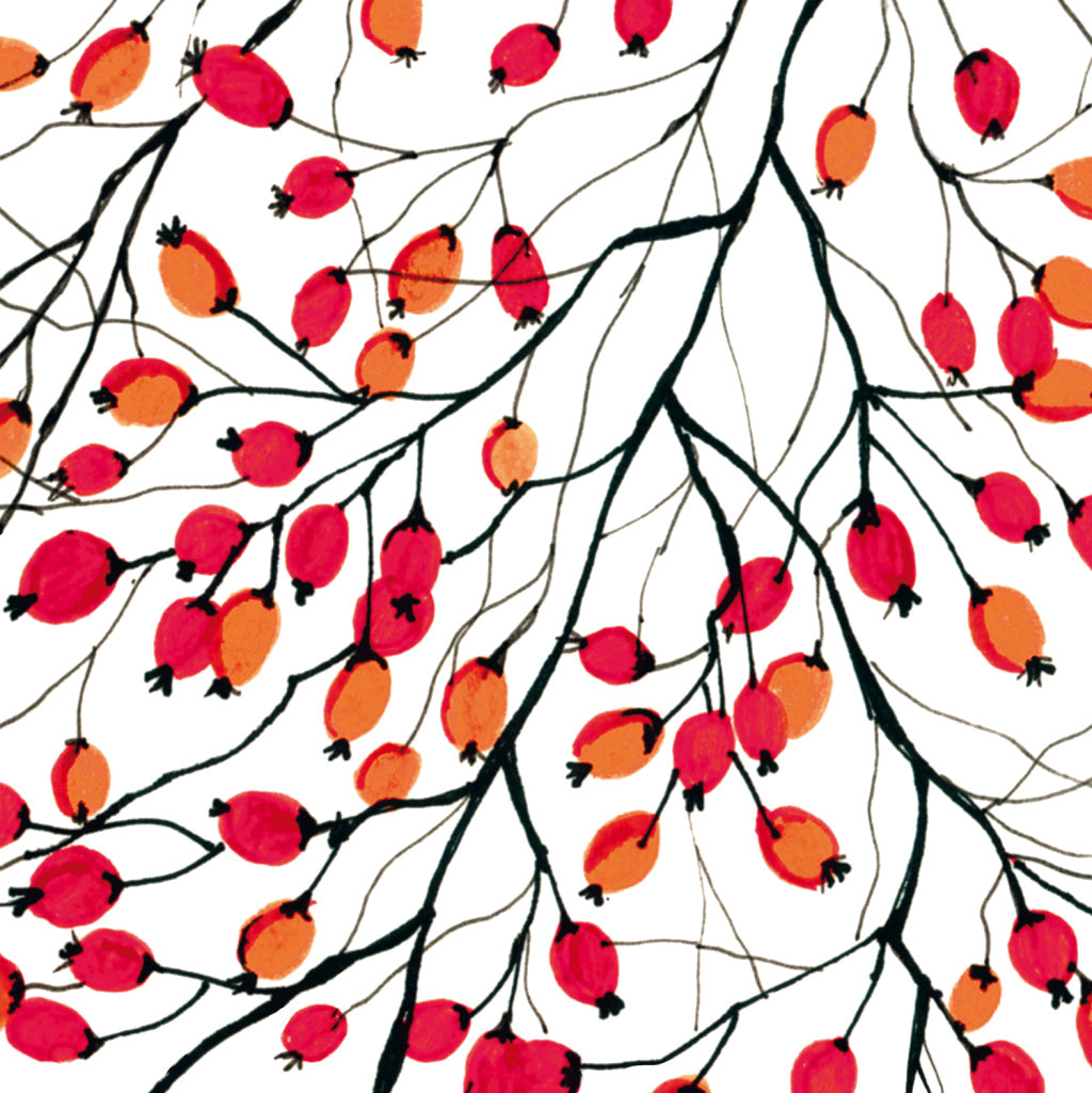 Aquarell Rosehip Paper Napkins - Thedanes.co.uk - Creative & Sustainable Living The Scandinavian Way