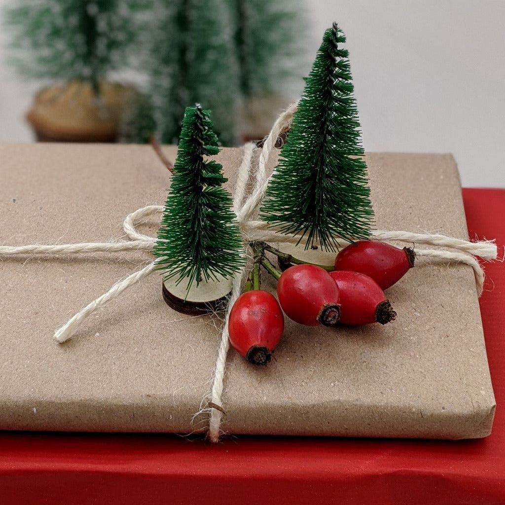 5 Small Green Bottle Brush Trees - Thedanes.co.uk - Creative & Sustainable Living The Scandinavian Way