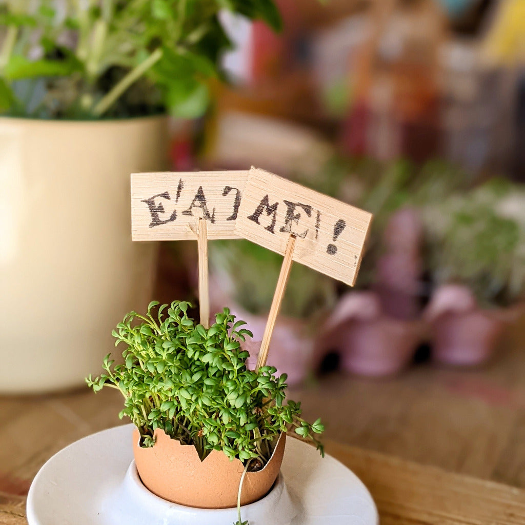 Bamboo Marker Sticks - Plant or Buffet - Thedanes.co.uk - Creative & Sustainable Living The Scandinavian Way
